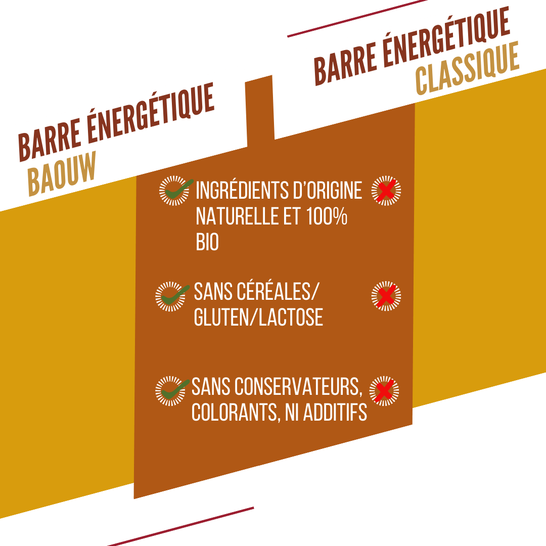 Barre Énergétique BAOUW BIO EXTRA Mangue Cajou (50g)