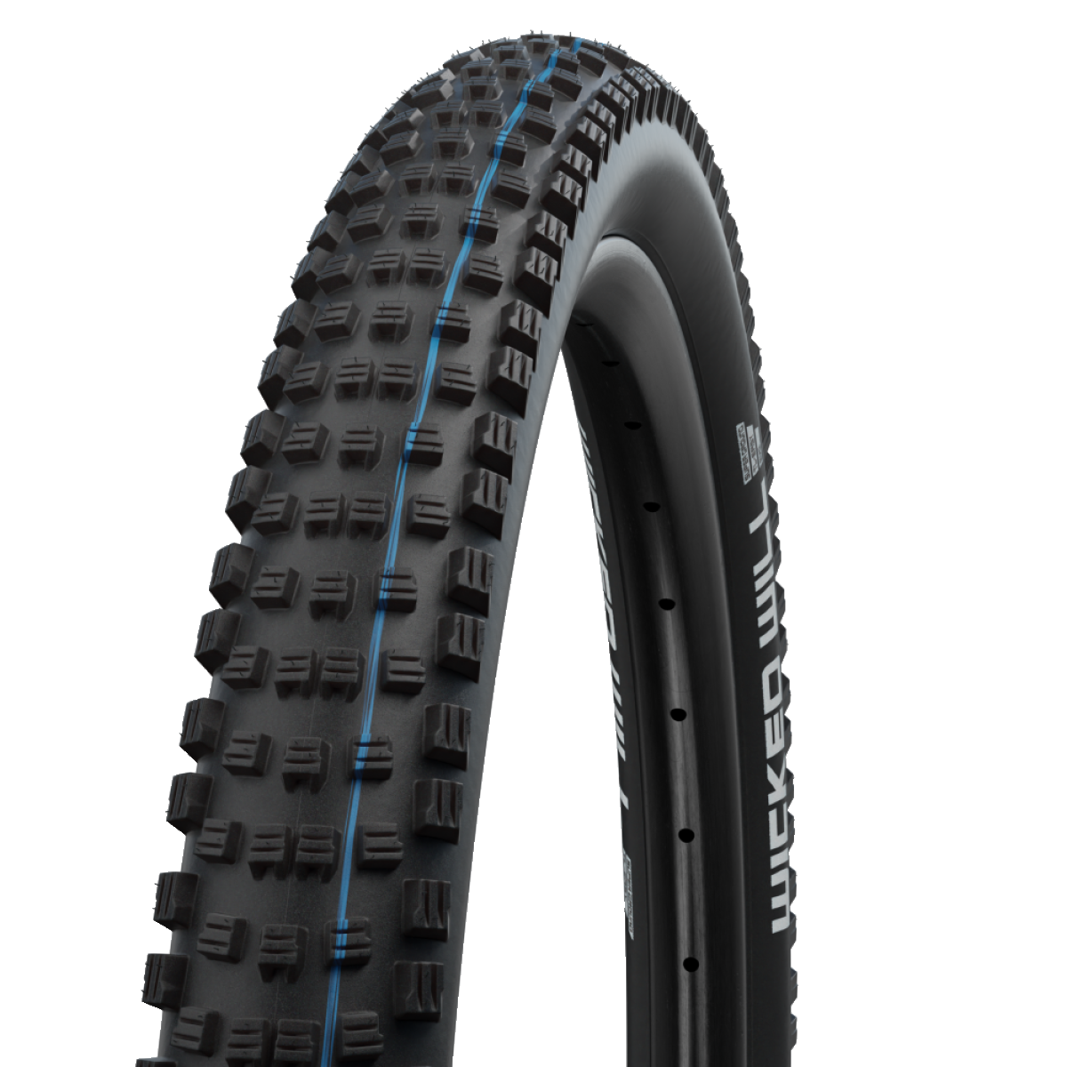 Pneu SCHWALBE WICKED WILL 29x2.60 ADDIX SPEEDGRIP SUPERGROUND Tubeless Ready Souple Noir