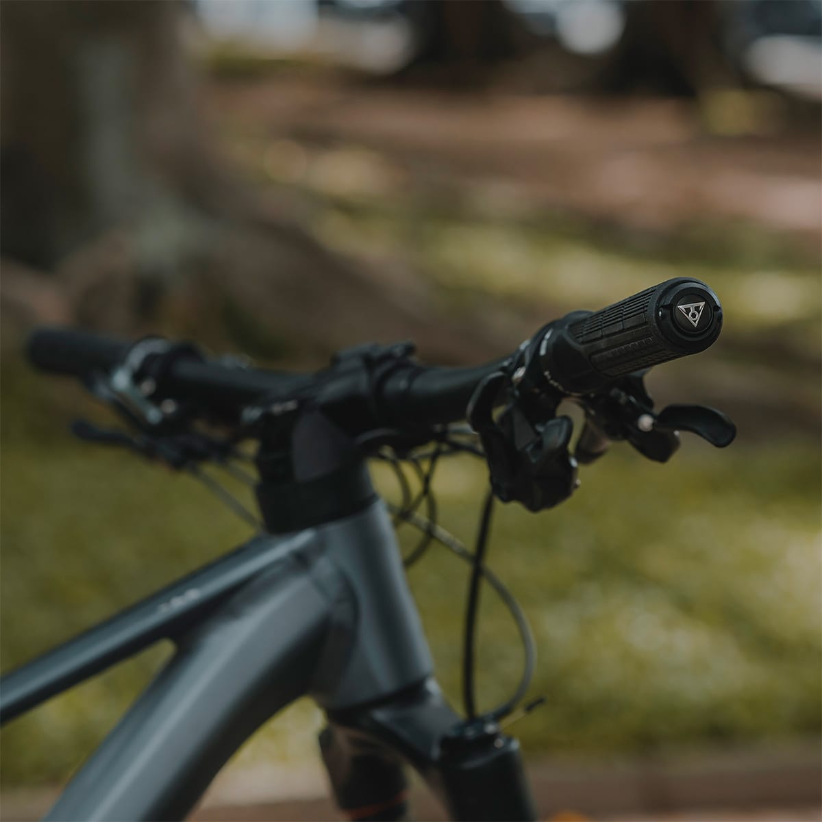 Narzędzia wielofunkcyjne TOPEAK PLUG'N TOOL MOUNTAIN