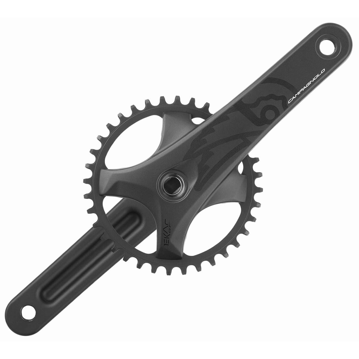 13V CAMPAGNOLO EKAR GT vevparti