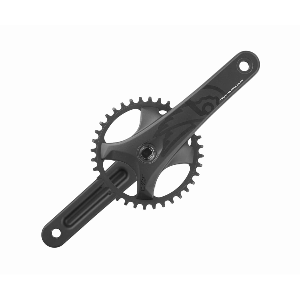 13V CAMPAGNOLO EKAR GT vevparti