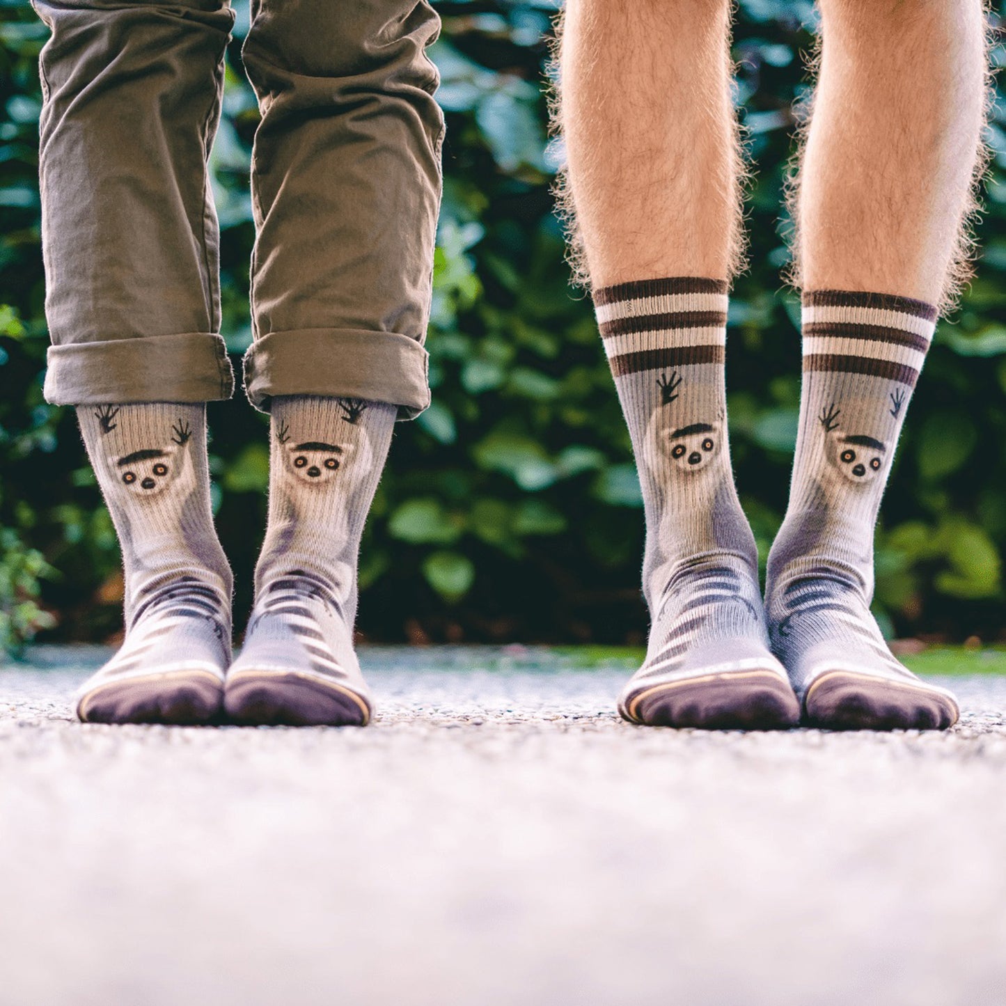 MERGE4 RING TAIL LEMUR strumpor