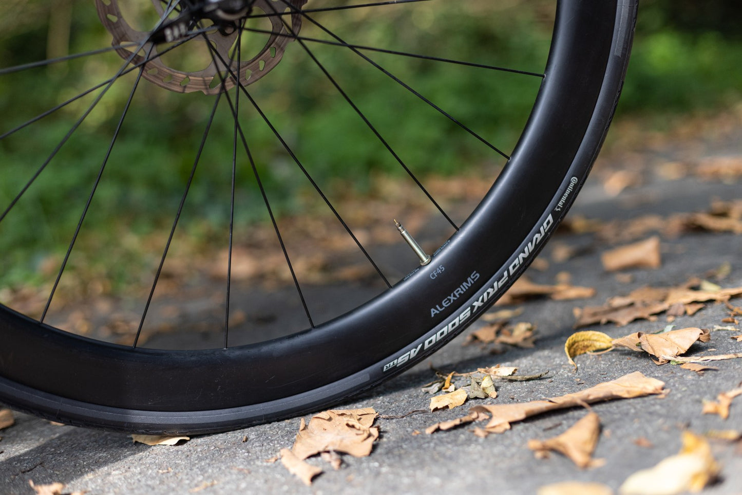 CONTINENTAL GRAND PRIX 5000 ALL SEASON 700c Tubeless Ready Svart däck
