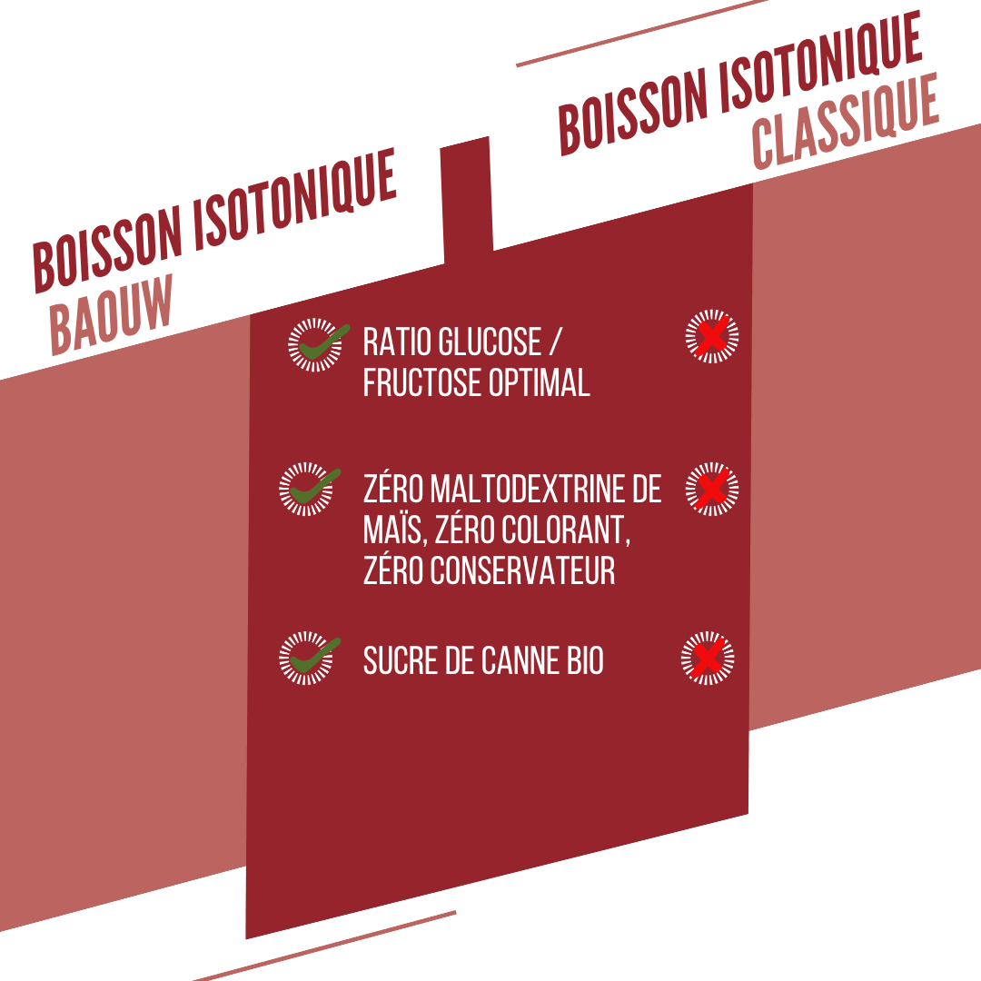 BAOUW ISOTONIC Energy Drink (45g) Meloun/pomerančové jablko