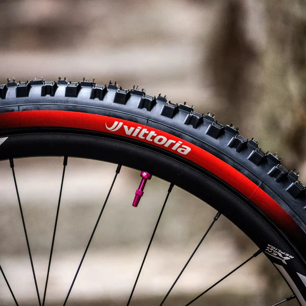 Pneu VITTORIA MAZZA ENDURO RACE 29x2.40 Graphene/Silica Tubeless Ready Souple Noir