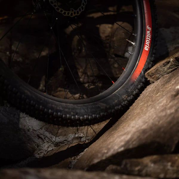 VITTORIA MOTA ENDURO RACE 29x2.60 Graphene/Silica Tubeless Ready Miękka opona w kolorze czarnym
