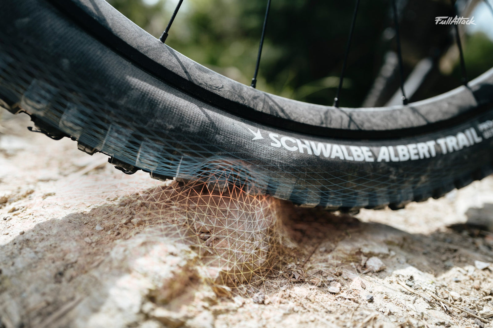 SCHWALBE RADIAL