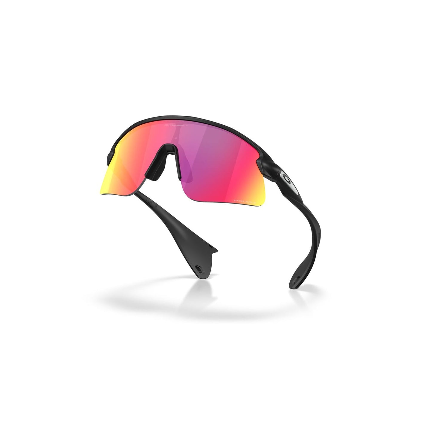 OAKLEY STUNT DEVIL S Glasögon Svart Matt Prizm Road