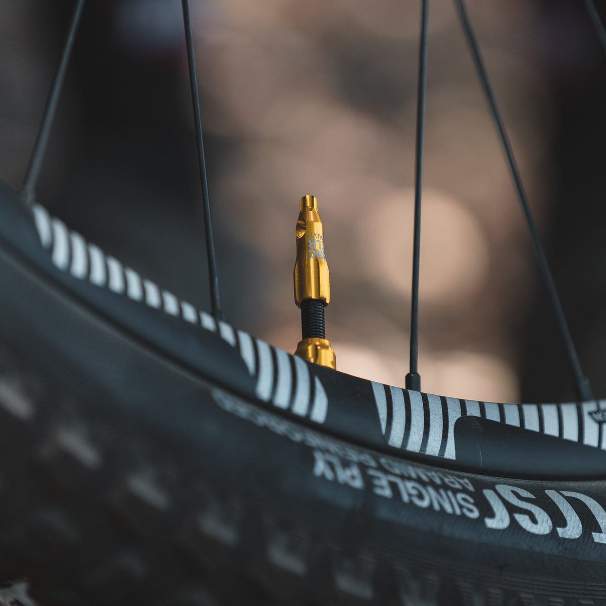 Capuchon de Valve LEZYNE CNC Or