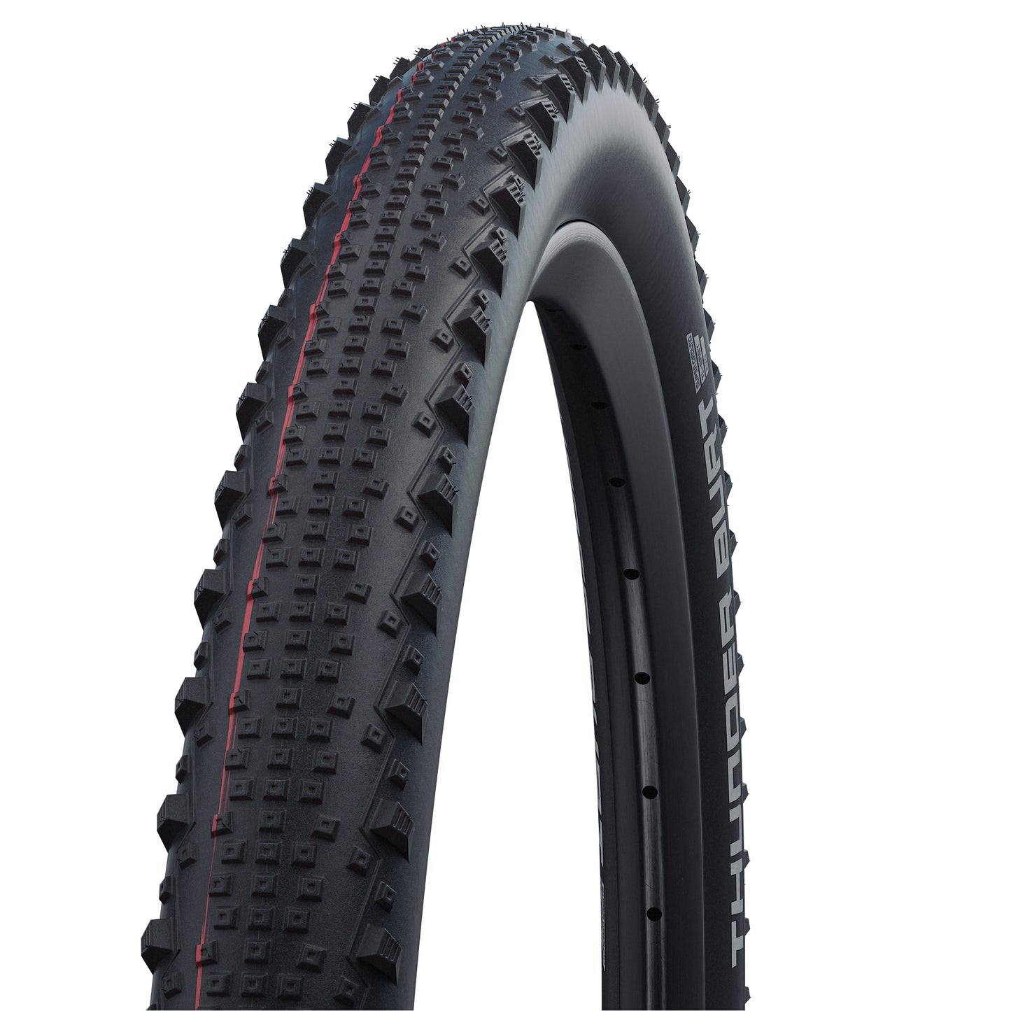 Pneu SCHWALBE THUNDER BURT 29x2.25 ADDIX SPEED SUPERGROUND Tubeless Ready Souple Noir