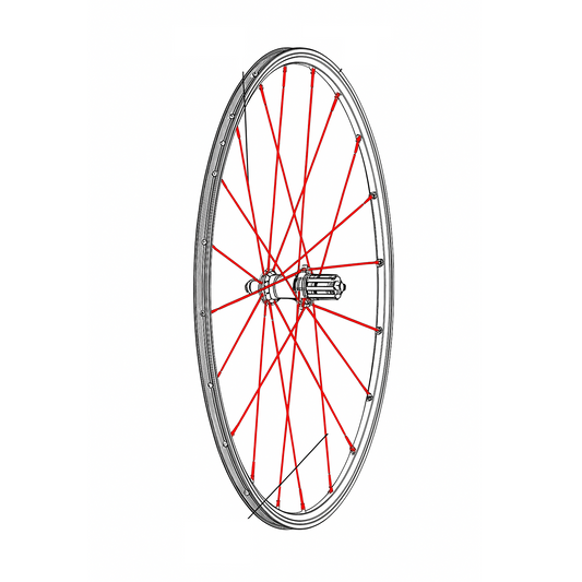 SADA 12 ZADNÍCH PAPRSKŮ MAVIC CROSSRONE/CROSSRIDE FTSX 262MM