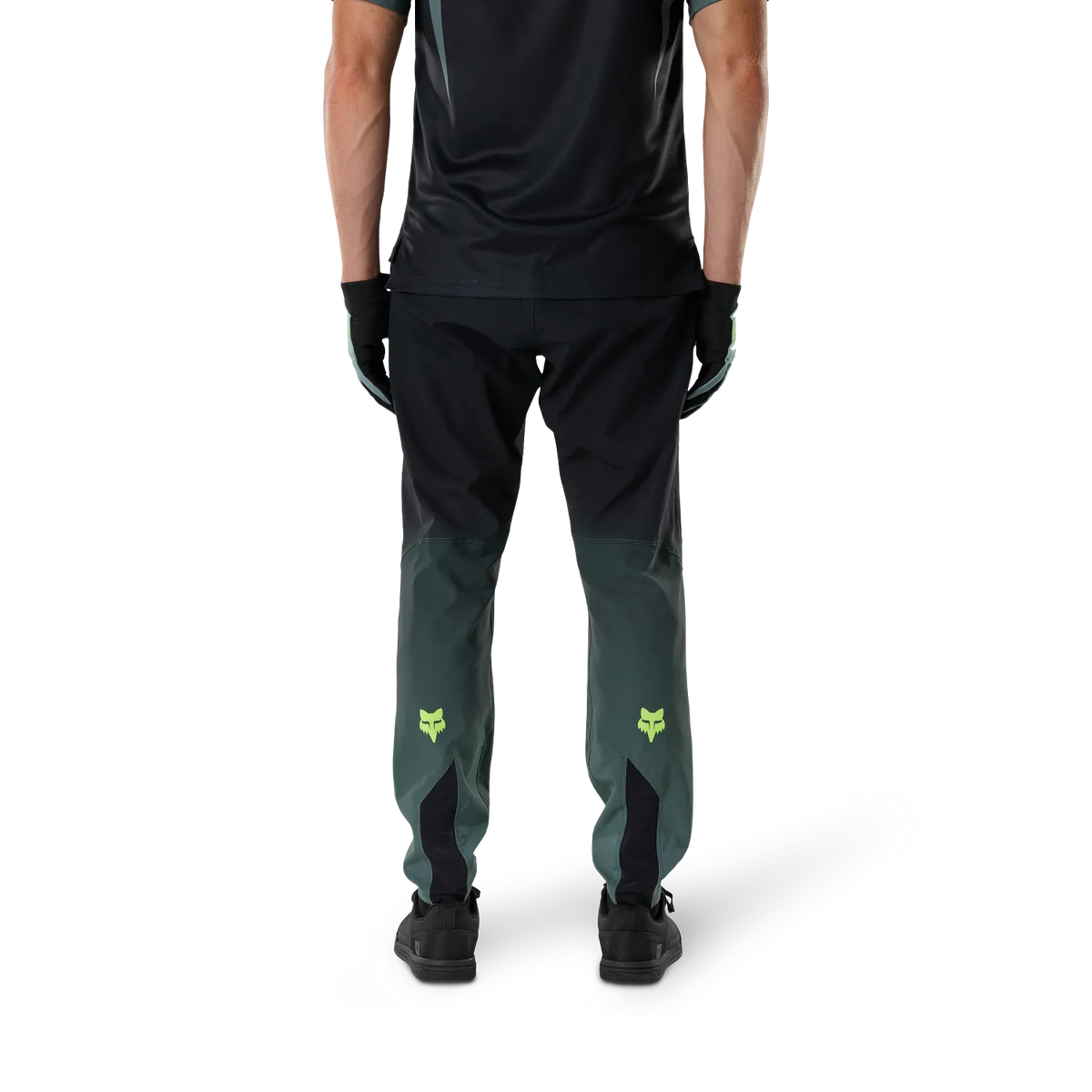 Pantalon FOX RANGER FOUNDRY Sauge
