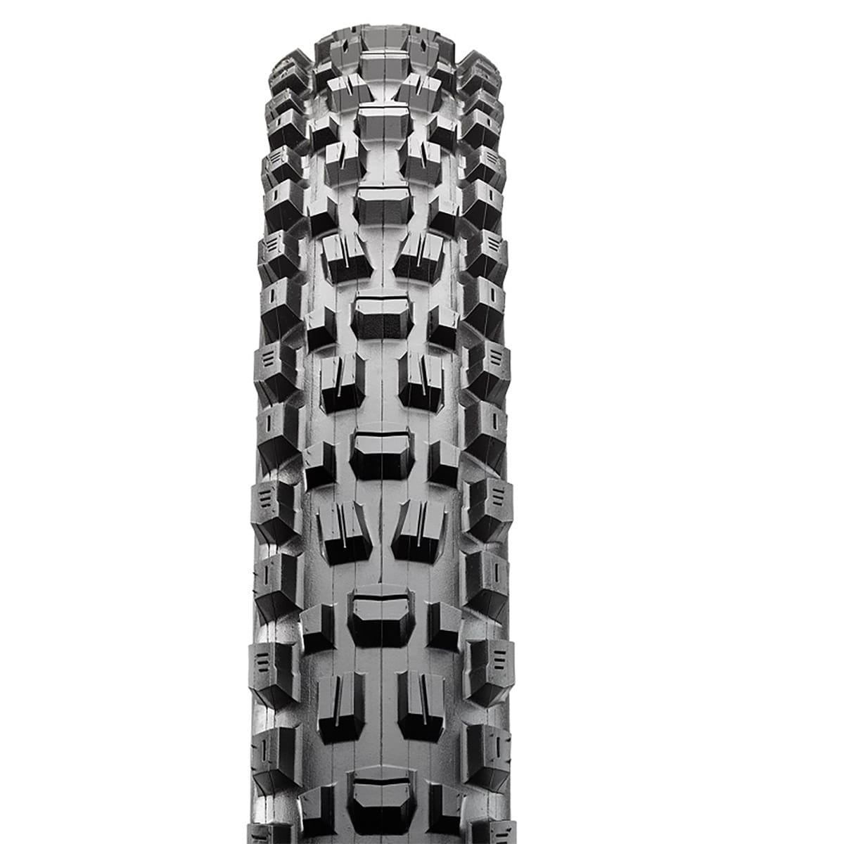 Pneu MAXXIS ASSEGAI 29x2,60 WT Exo+ 3C Terra Tubeless Ready Souple Noir