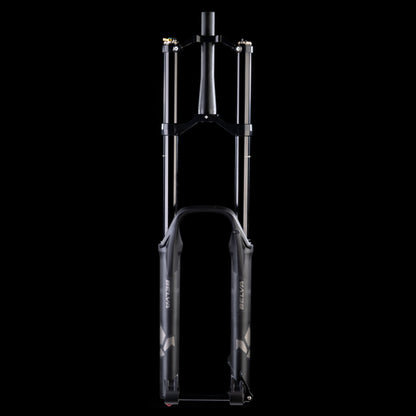 Fourche FORMULA BELVA 29" Axe 15x110mm Boost Noir