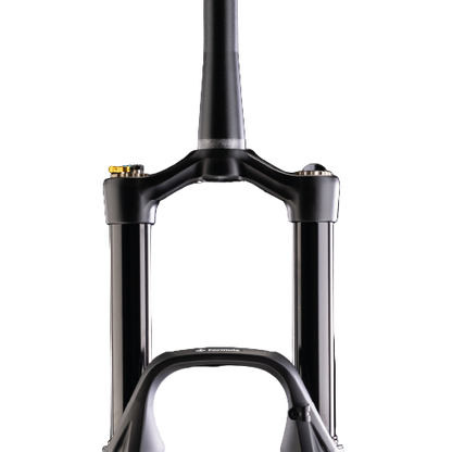 Fourche FORMULA SELVA S 29" Axe 15x110mm Boost Noir
