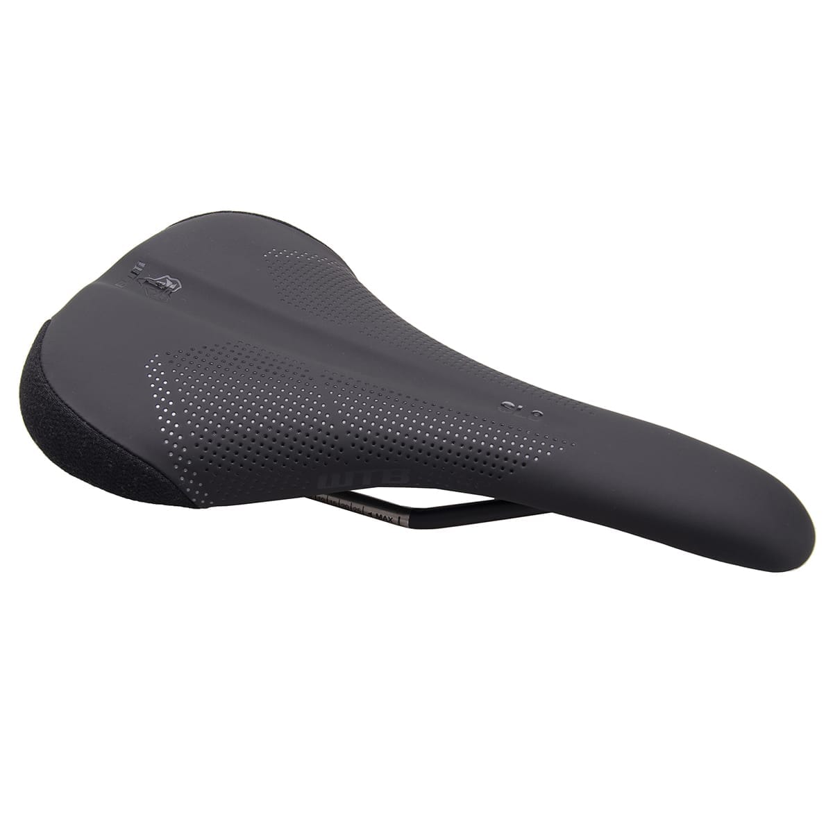 Selle WTB SL8 150 mm Rails Titane Noir