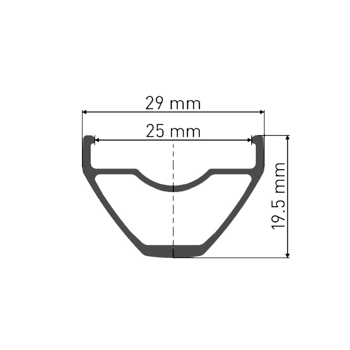 Roue Avant DT SWISS X 1900 SPLINE 25 mm 29" 15x100 mm