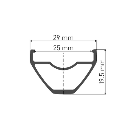 Roue Arrière DT SWISS X 1900 SPLINE 25 mm 29" 12x142 mm