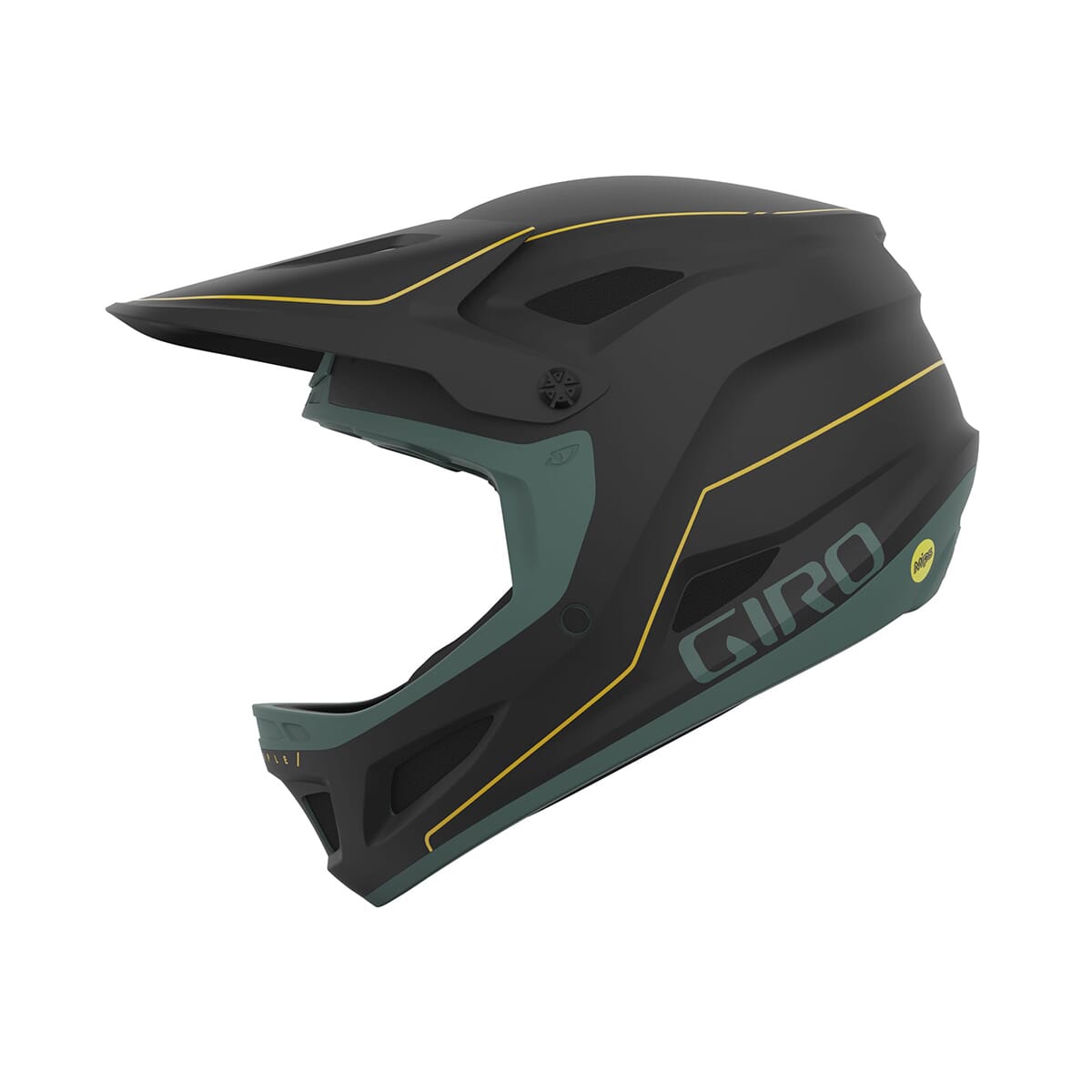 Casque VTT GIRO DISCIPLE MIPS Noir/Vert