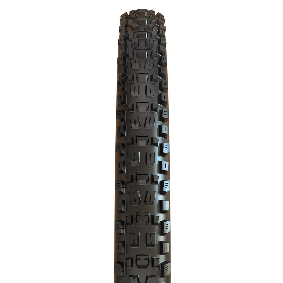 Pneu MAXXIS ASSEGAI 29x2.50 WT BikePark DH Tubeless Ready Rigide Noir