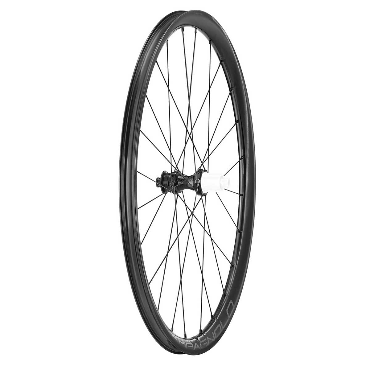 Paire de Roues CAMPAGNOLO LEVANTE 2-WAY FIT DISC 700c