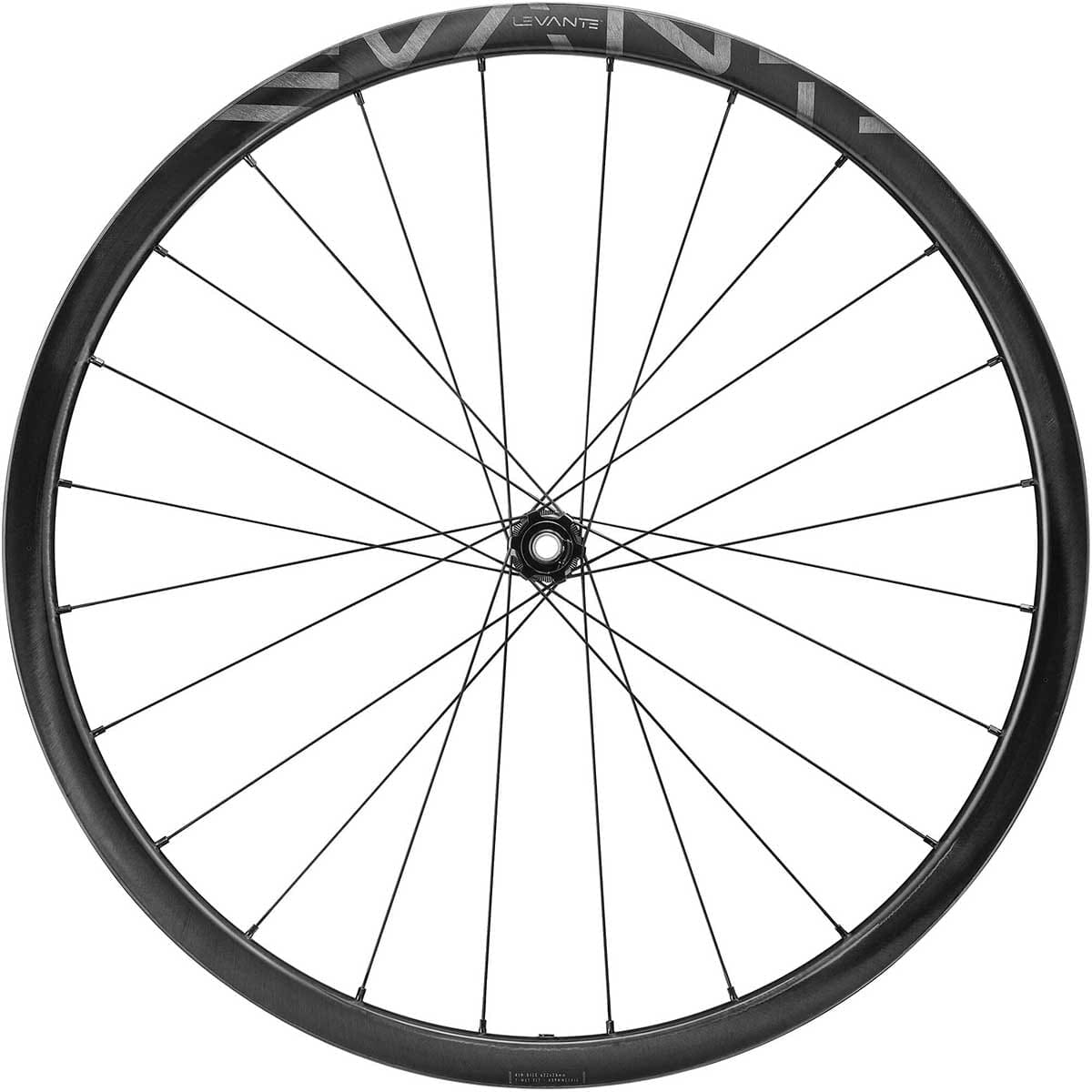 Paire de Roues CAMPAGNOLO LEVANTE 2-WAY FIT DISC 700c