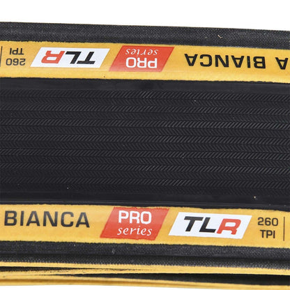 Pneu CHALLENGE STRADA BIANCA PRO 700x36C Tubeless Ready Noir