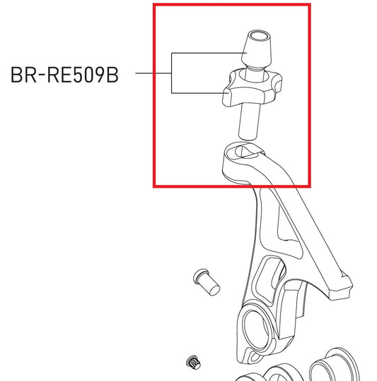 Śruba regulująca naprężenie linki przerzutki tylnej CAMPAGNOLO SR/Record 12V
