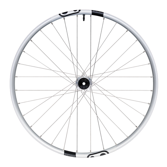 Baghjul CRANKBROTHERS SYNTHESIS Aluminium 2.0 E-BIKE I9 27,5" 12x148 mm Boost Silver