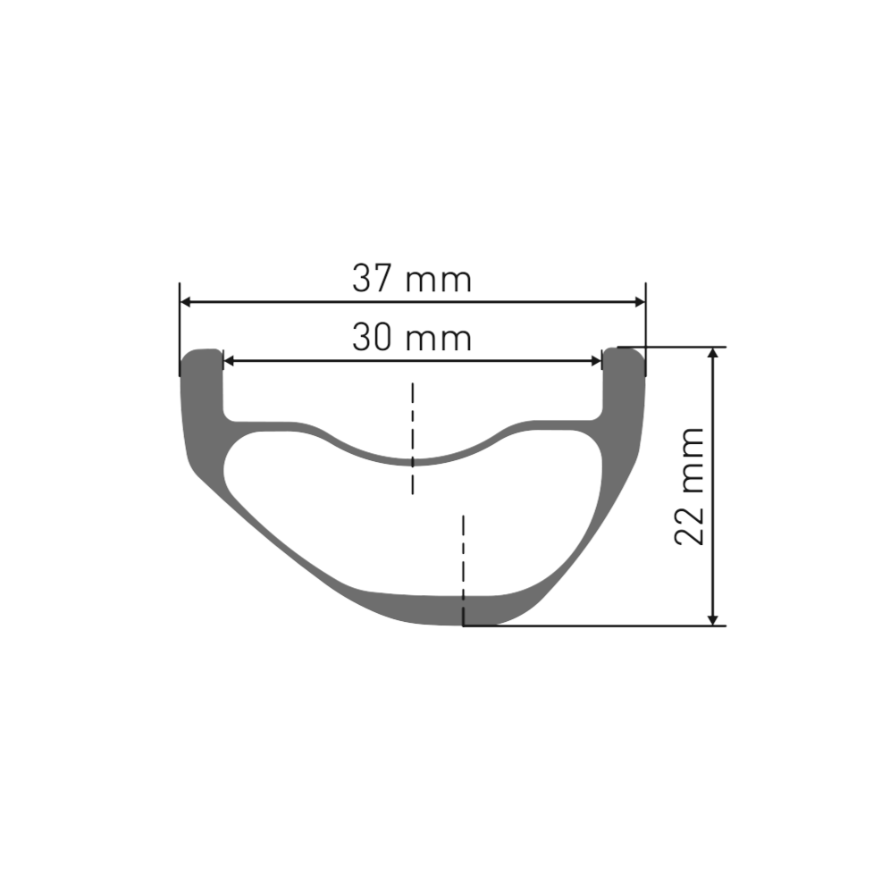 Roue Avant DT SWISS EXC 1200 CLASSIC 30 mm 29" 15x110 mm Boost