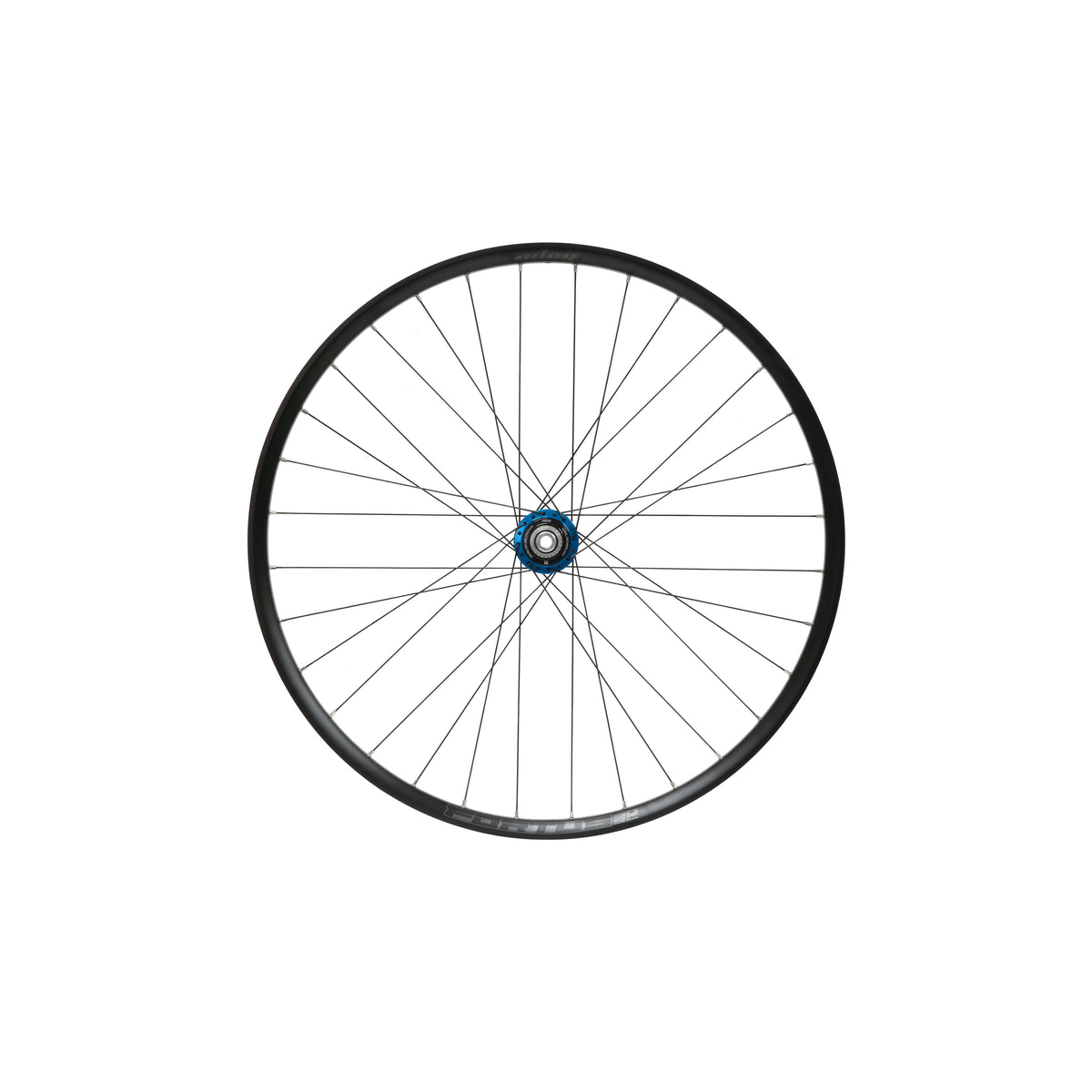 Roue arrière HOPE Fortus 30 W SC 29 pouces, moyeu Pro 5 Bleu