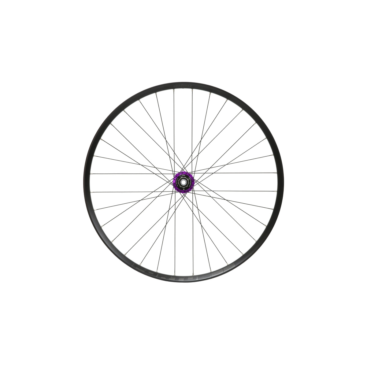 Roue arrière HOPE Fortus 35 W 29 pouces, moyeu Pro 5 Violet