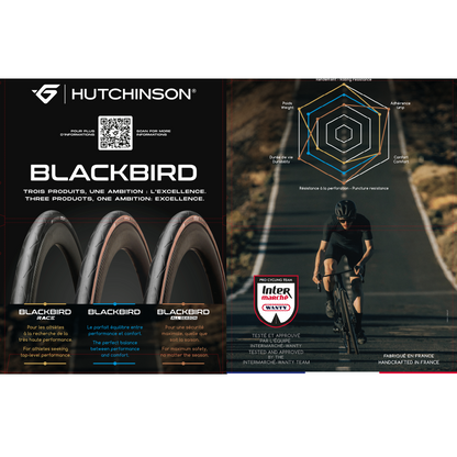 Pneu HUTCHINSON BLACKBIRD ALLSEASON 700c TubeType Marron