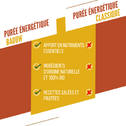 Purée Energétique BAOUW Bio Recette Mangue/Passion/Gingembre (90g)