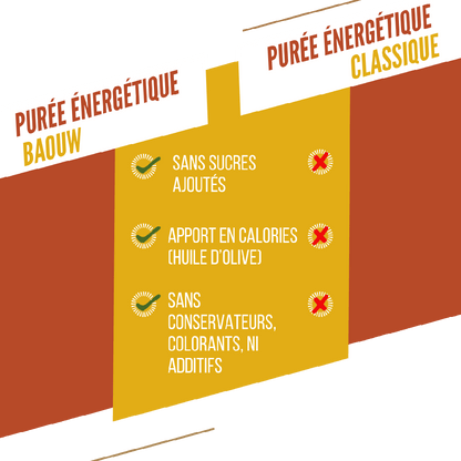 Purée Energétique BAOUW Bio Recette Mangue/Passion/Gingembre (90g)