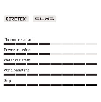Chaussures VTT HIVER NORTHWAVE CELSIUS XT GTX Noir/Gris