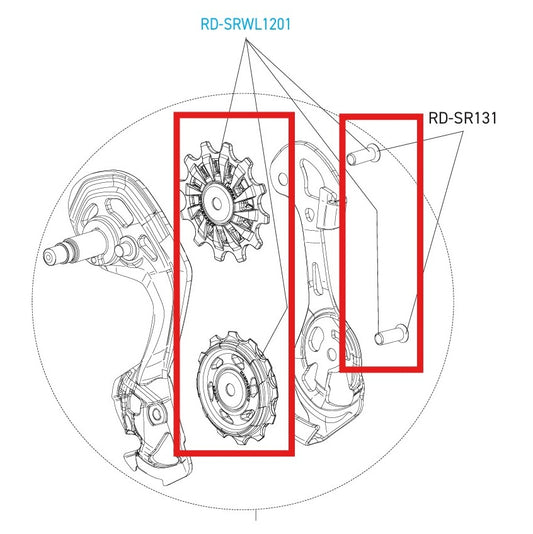 CAMPAGNOLO SUPER-RECORD 12V WRL DISC bagskifterenav