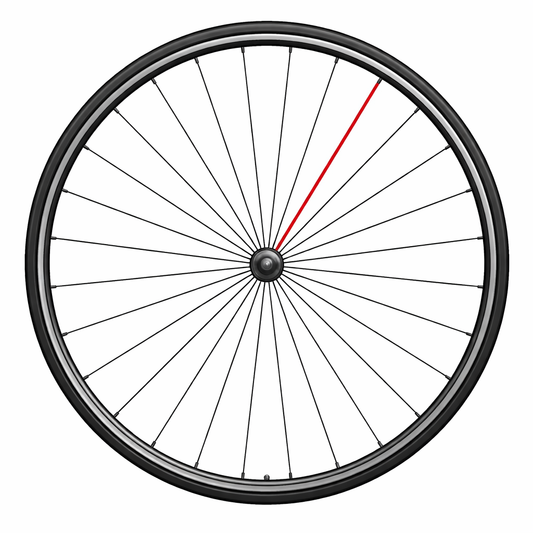 CAMPAGNOLO KOMPLETT FRÄMRE EKER SHAMAL C17 (1 ST.)