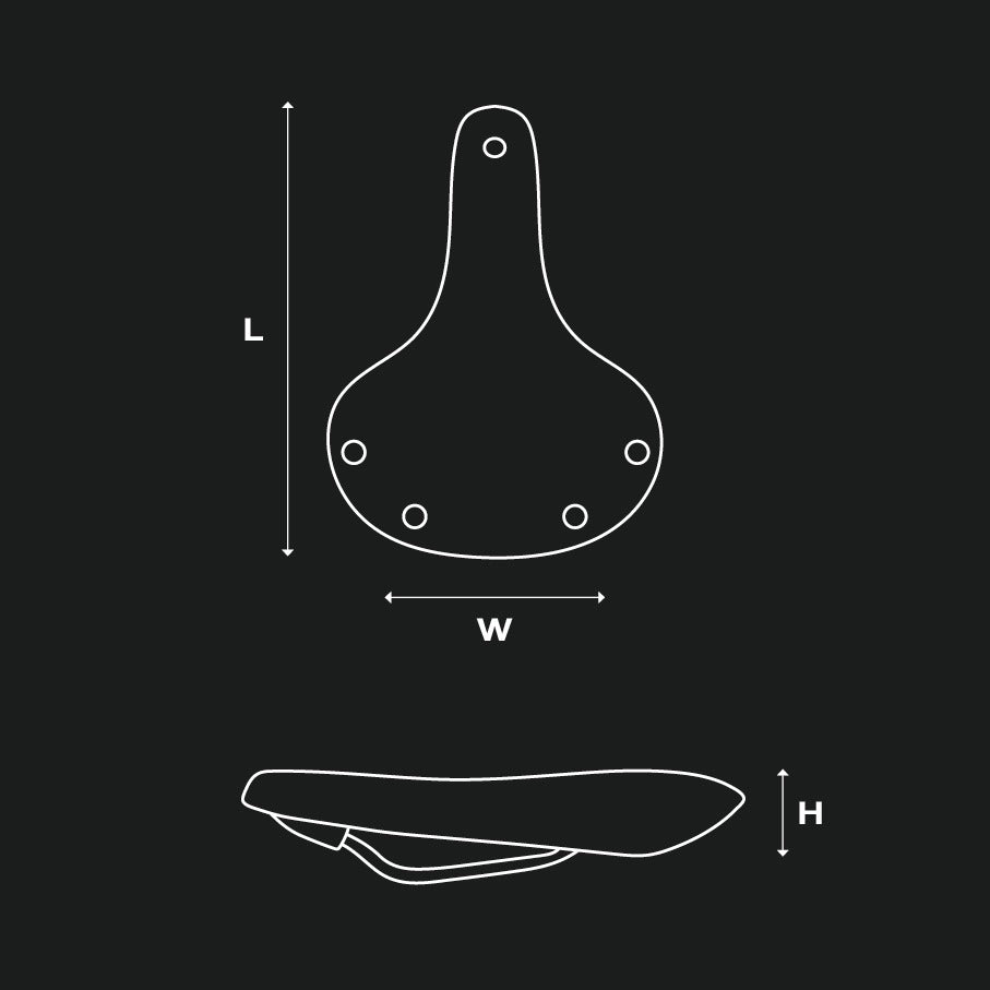 Selle BROOKS CAMBIUM C67 Noir