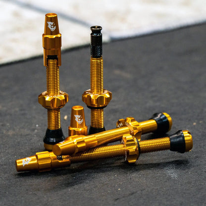 Lot de 2 Valves Tubeless WOLF TOOTH CLIK VALVE Or