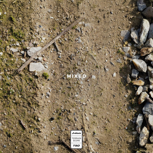 Pneu VITTORIA TERRENO PRO T50 Mixed Gravel Race 700x40c Tubeless Ready Souple Marron